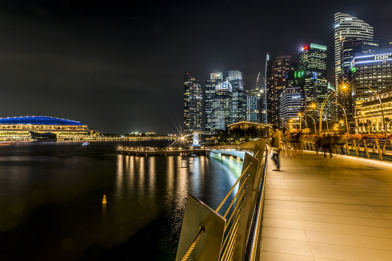 singapore  city  lights free photo