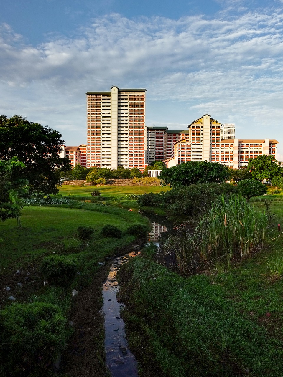 singapore  housing  architecture free photo