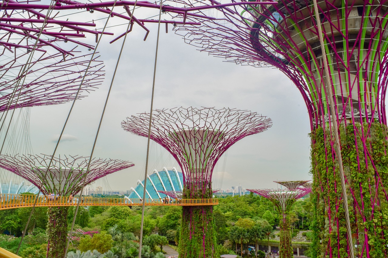 singapore  garden  hanging free photo