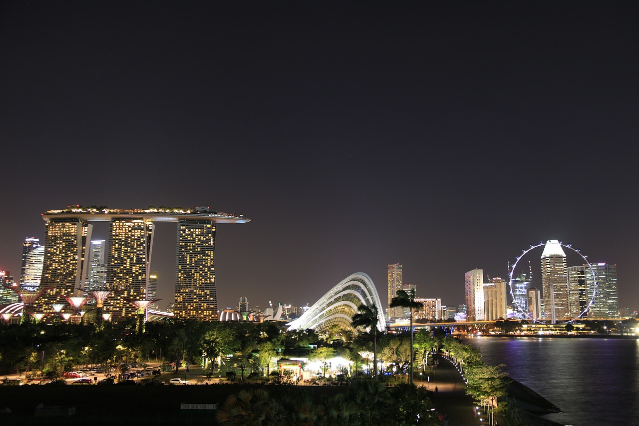 singapore night dark free photo