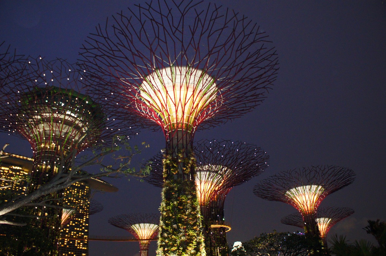 singapore garden by the bay supertree singapore free photo