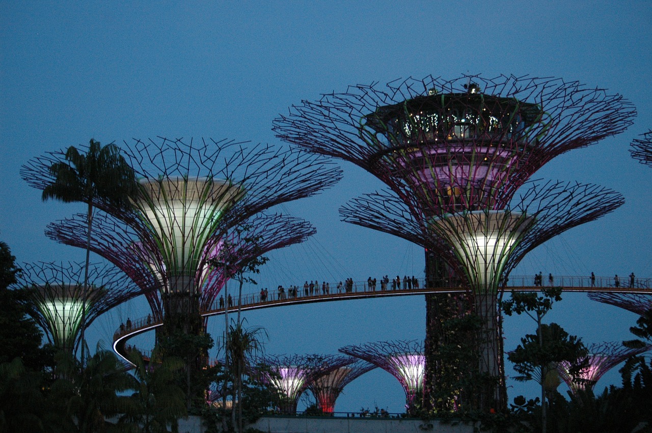 singapore gardens attraction trees free photo