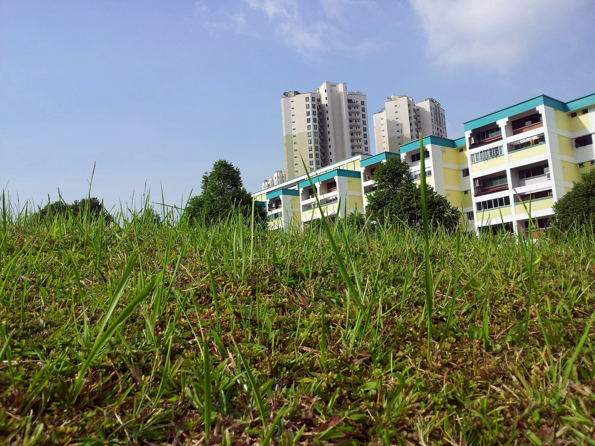 singapore hdb building grass land singapore hdb building free photo