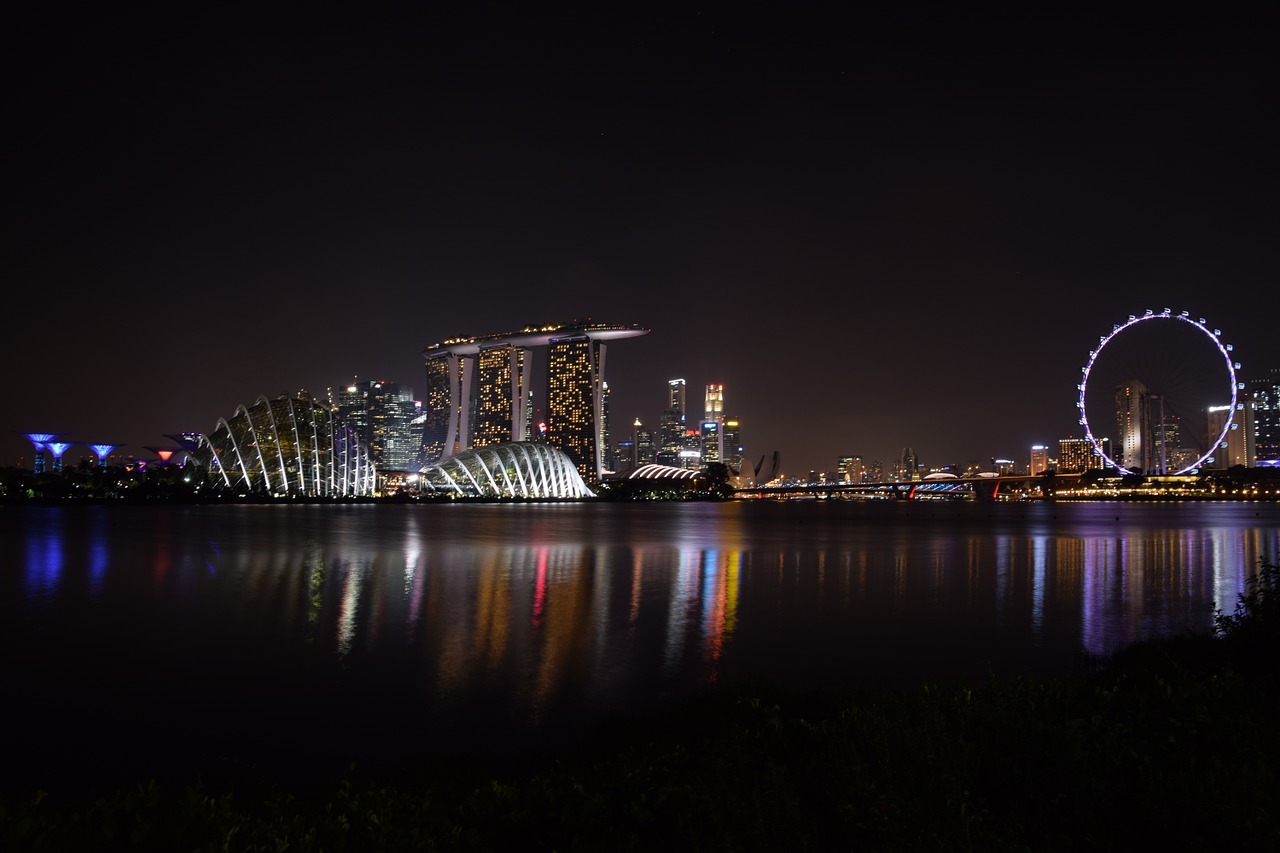 singapore river garden by the bay landscape free photo