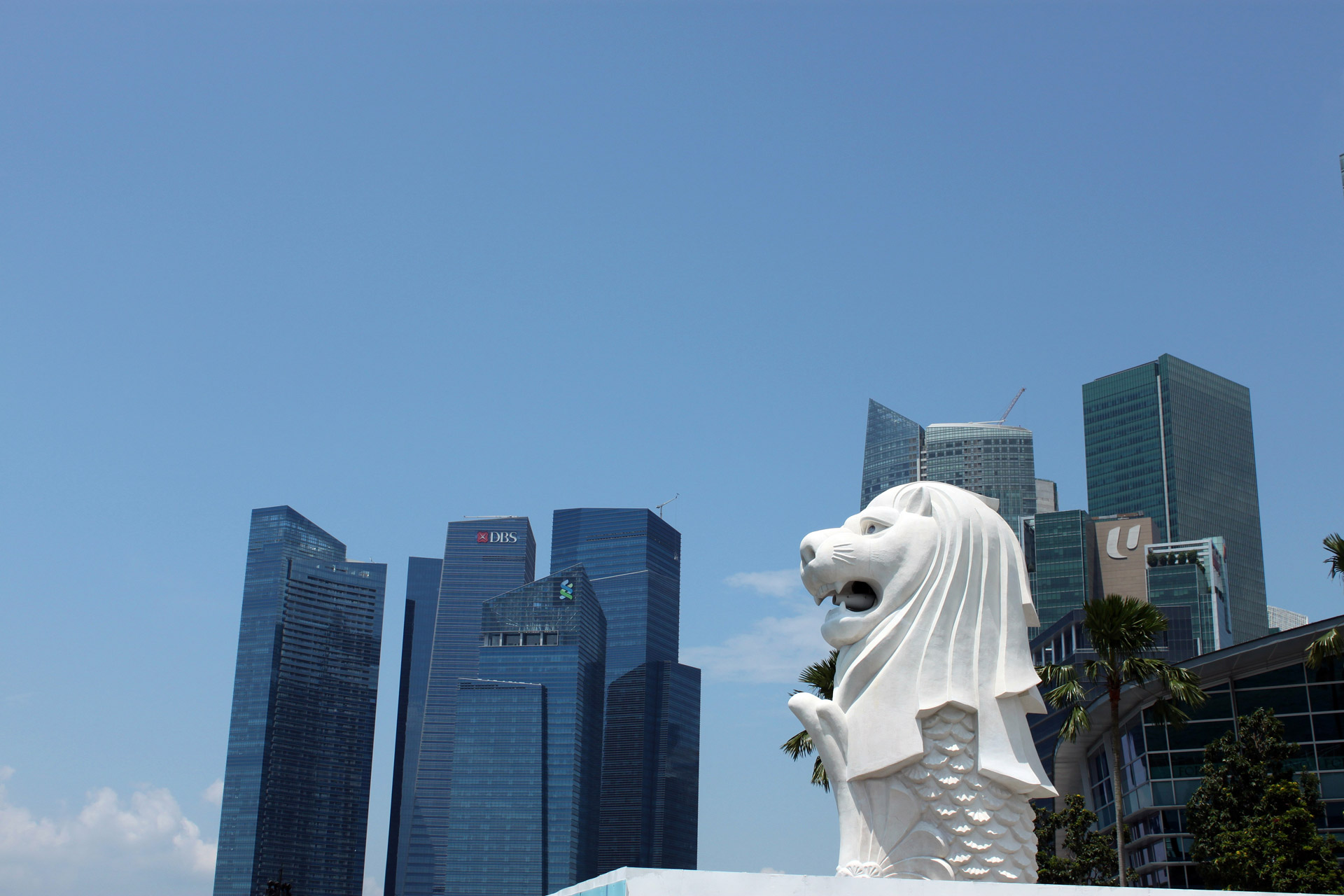 singapore sea lion skyline free photo