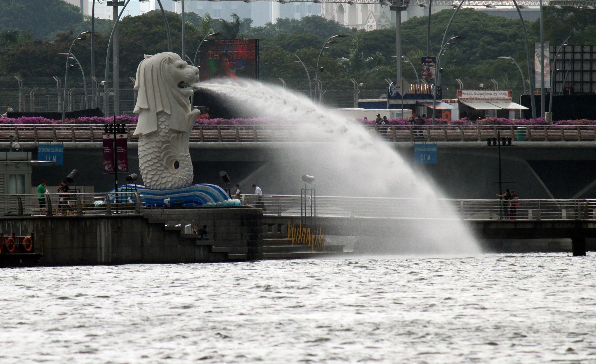singapore sea lion spilling water free photo