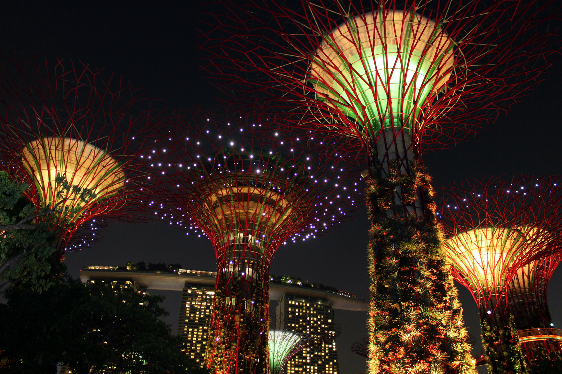 singapore sky tree free photo