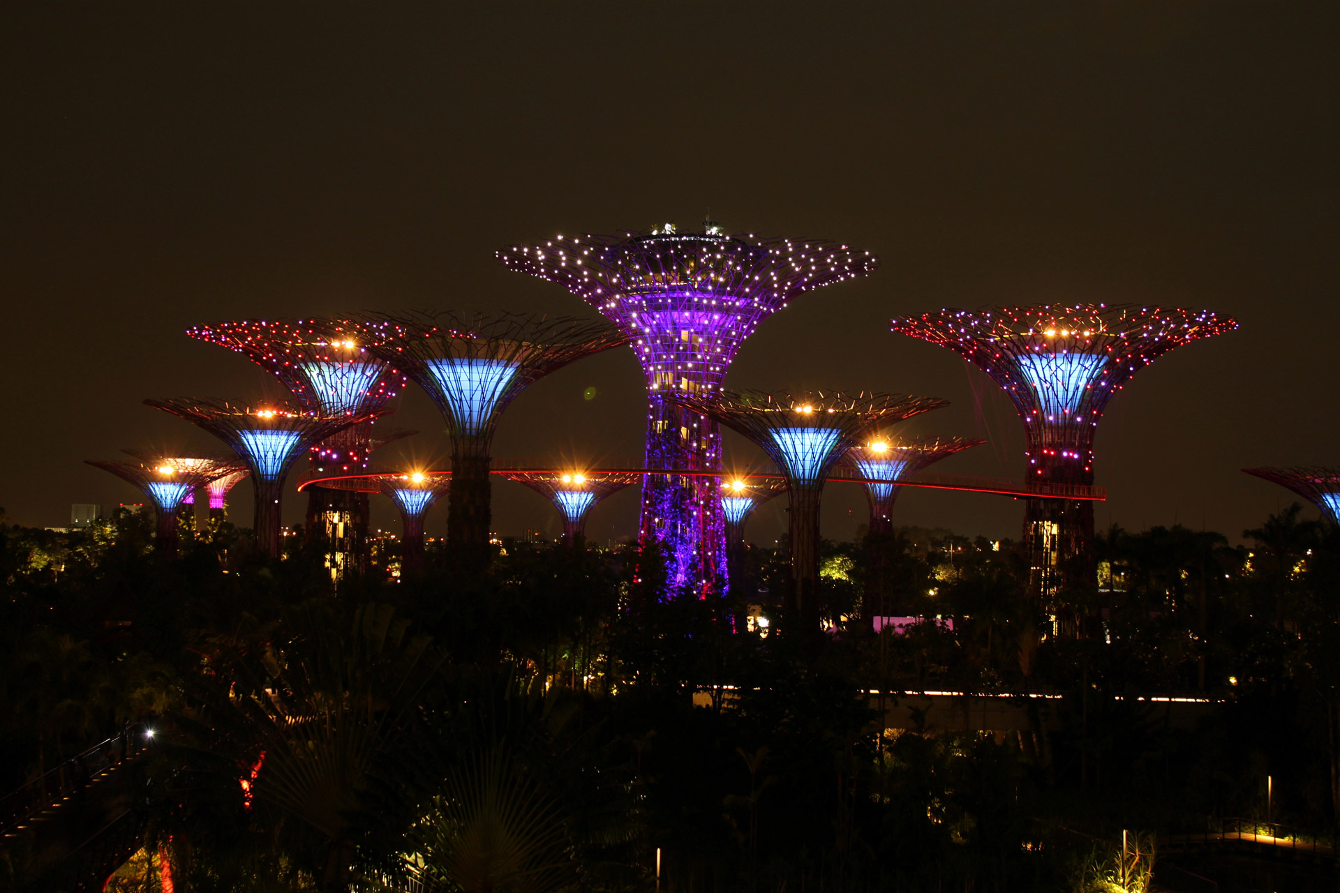 singapore sky tree free photo