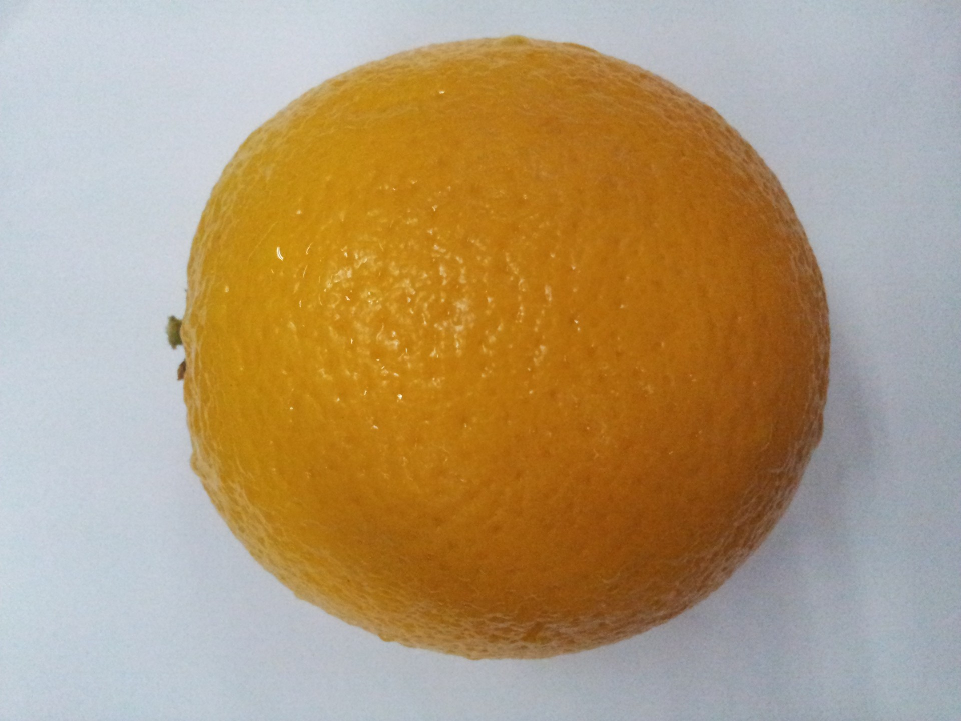 single orange single orange free photo