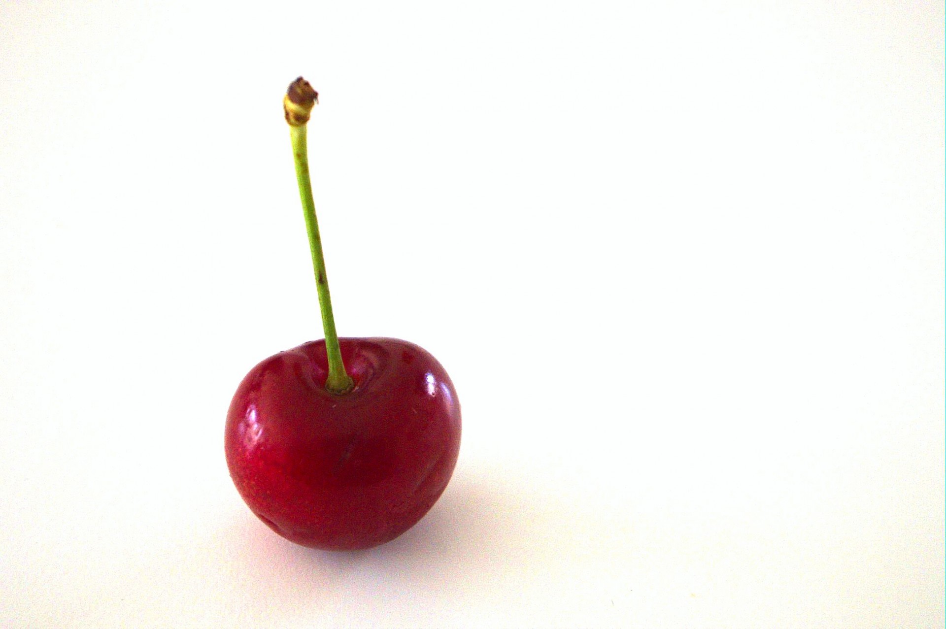 single red cherry free photo