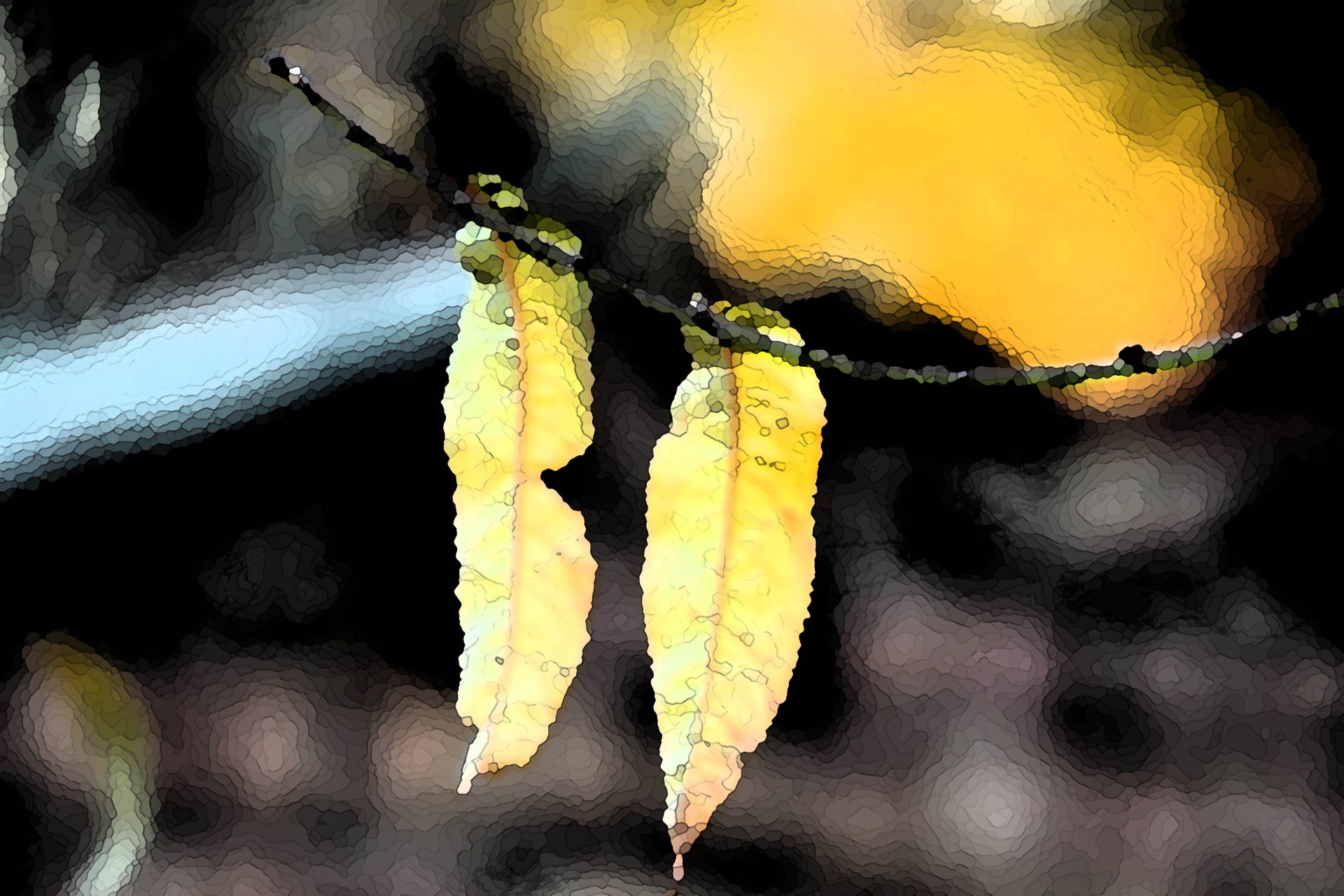 leaves yellow texture free photo