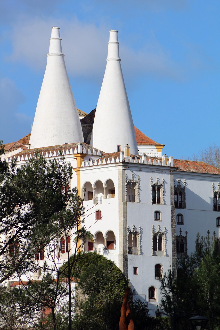 sintra  flowers  forest free photo