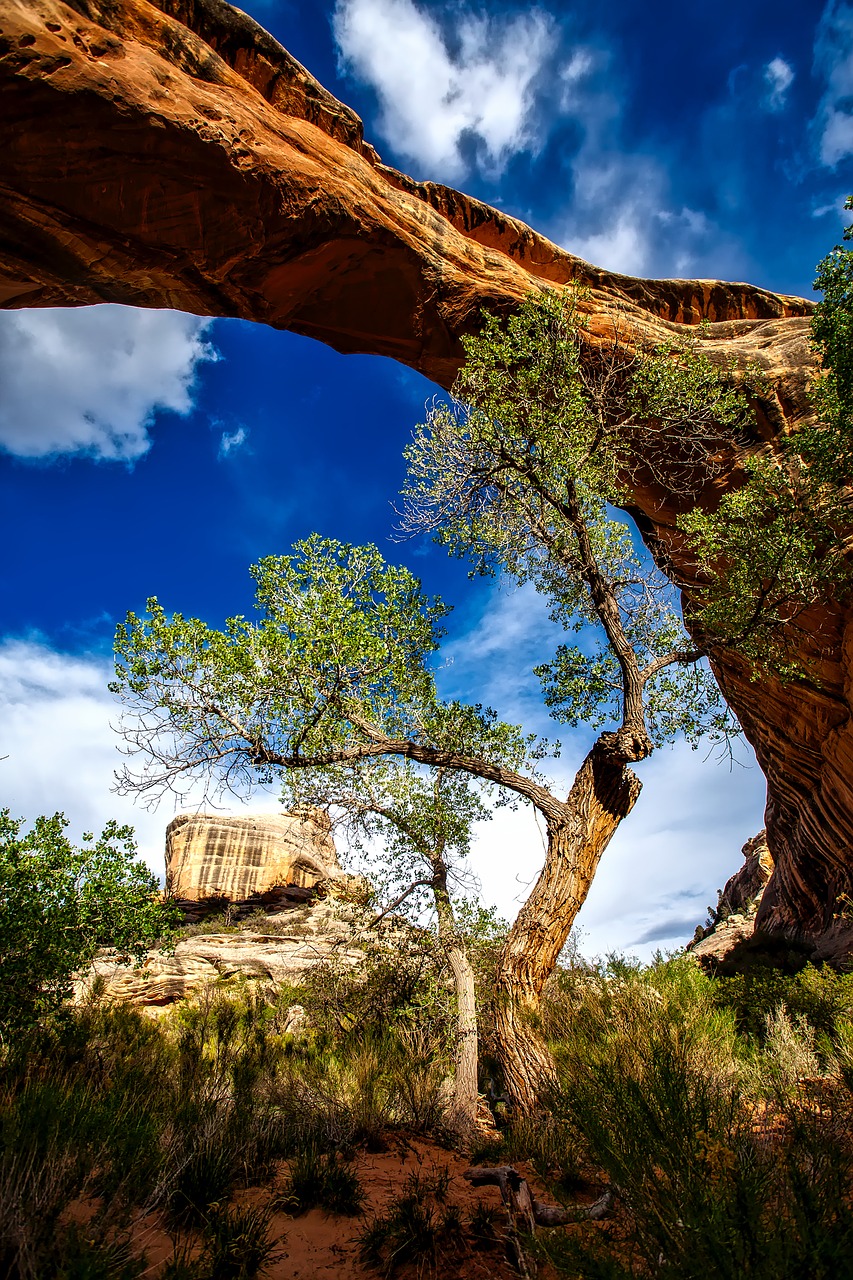 sipapu bridge natural landmark free photo