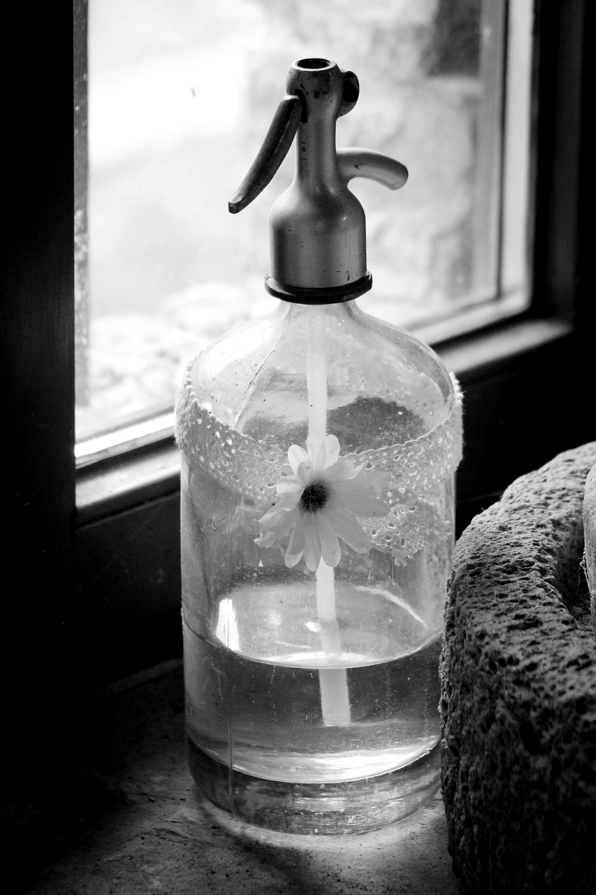 siphon carbonated old free photo
