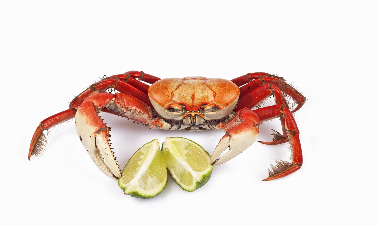 siri crab lemon free photo