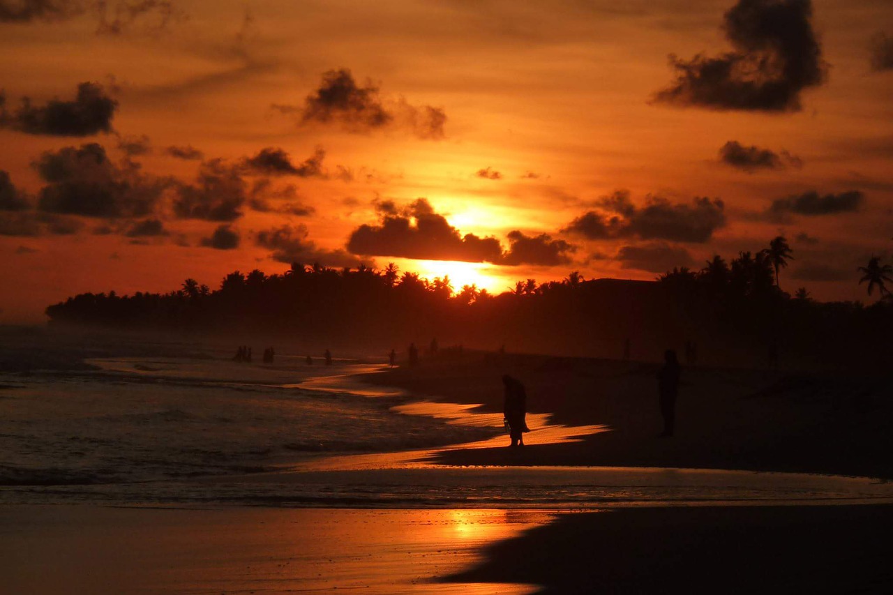 siri lanka  beach  sunset free photo