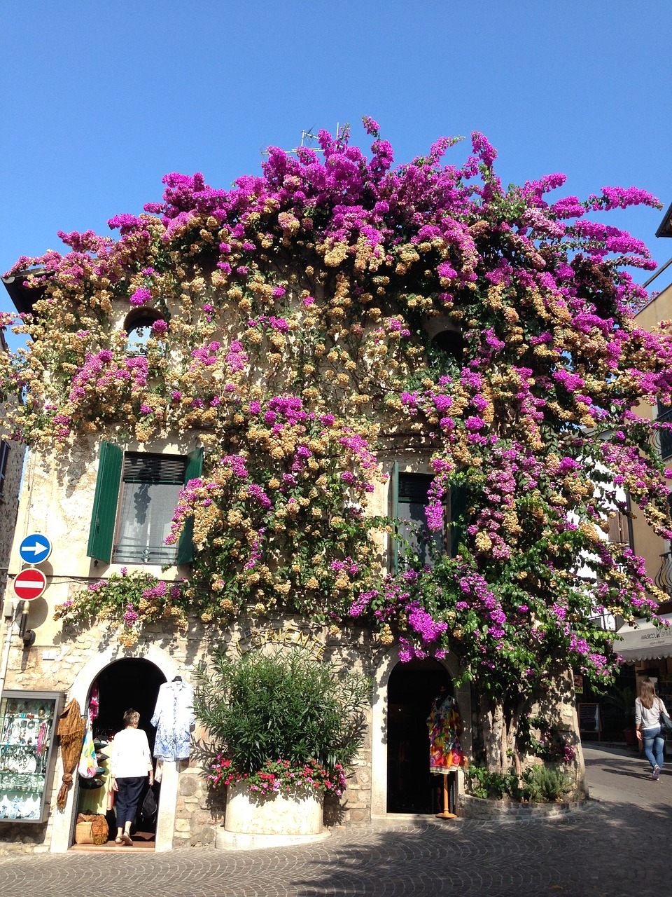 sirmione flowers house free photo
