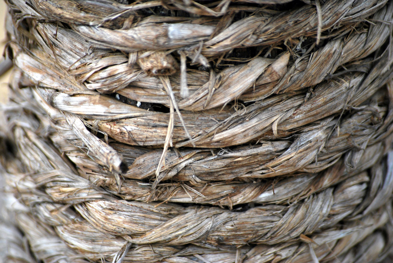 sisal hemp rope free photo