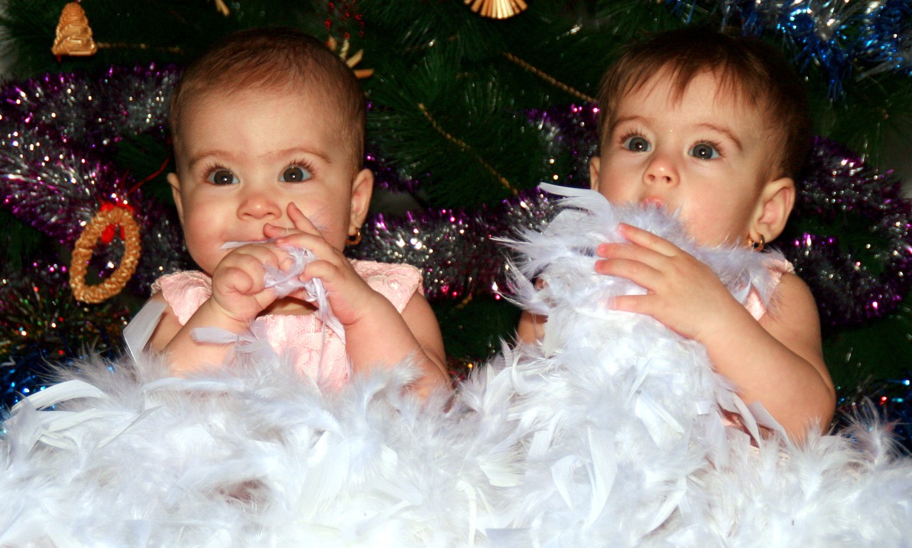sisters twin snowflakes free photo