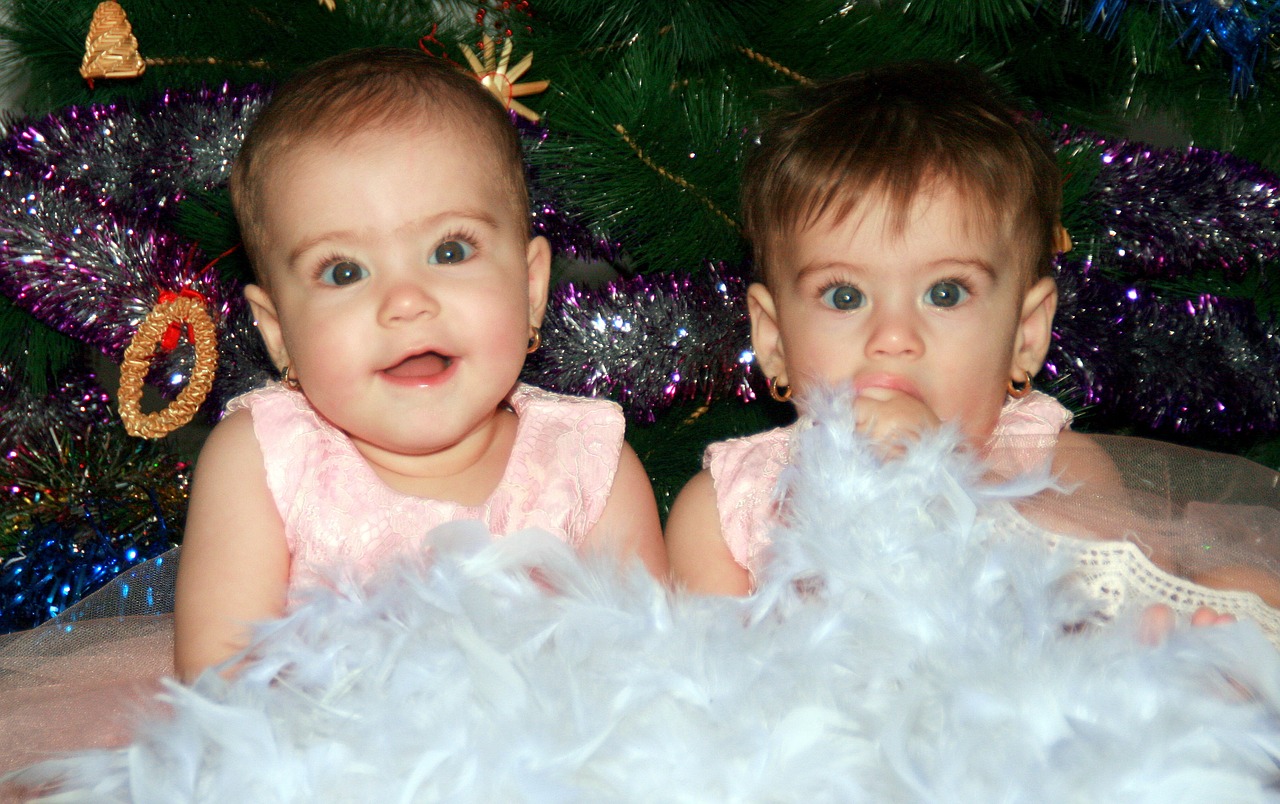 sisters twin snowflakes free photo