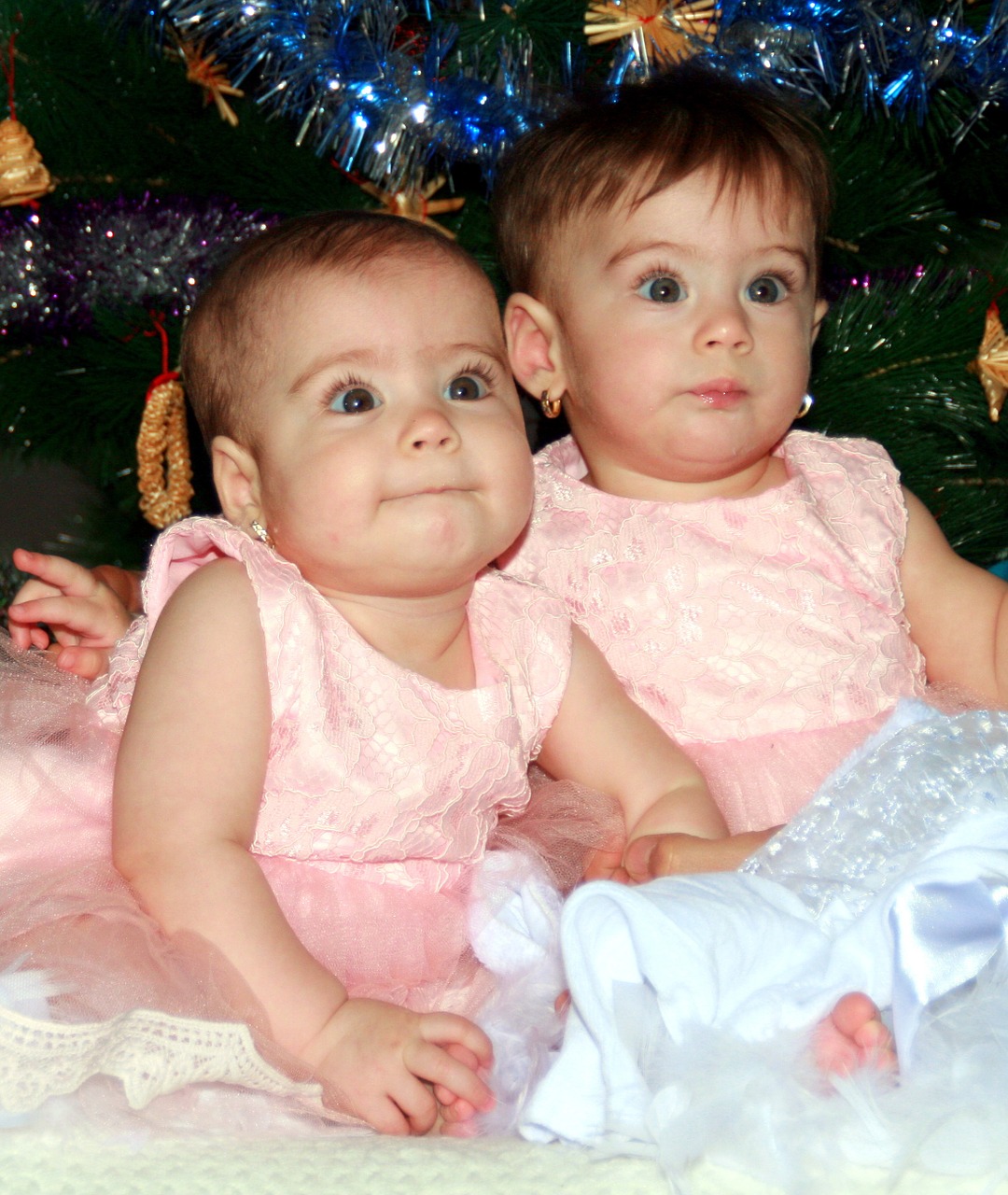 sisters twin snowflakes free photo