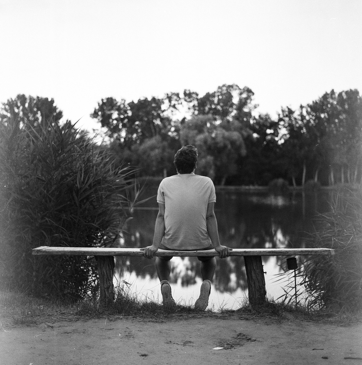 sitting bench gloomy free photo