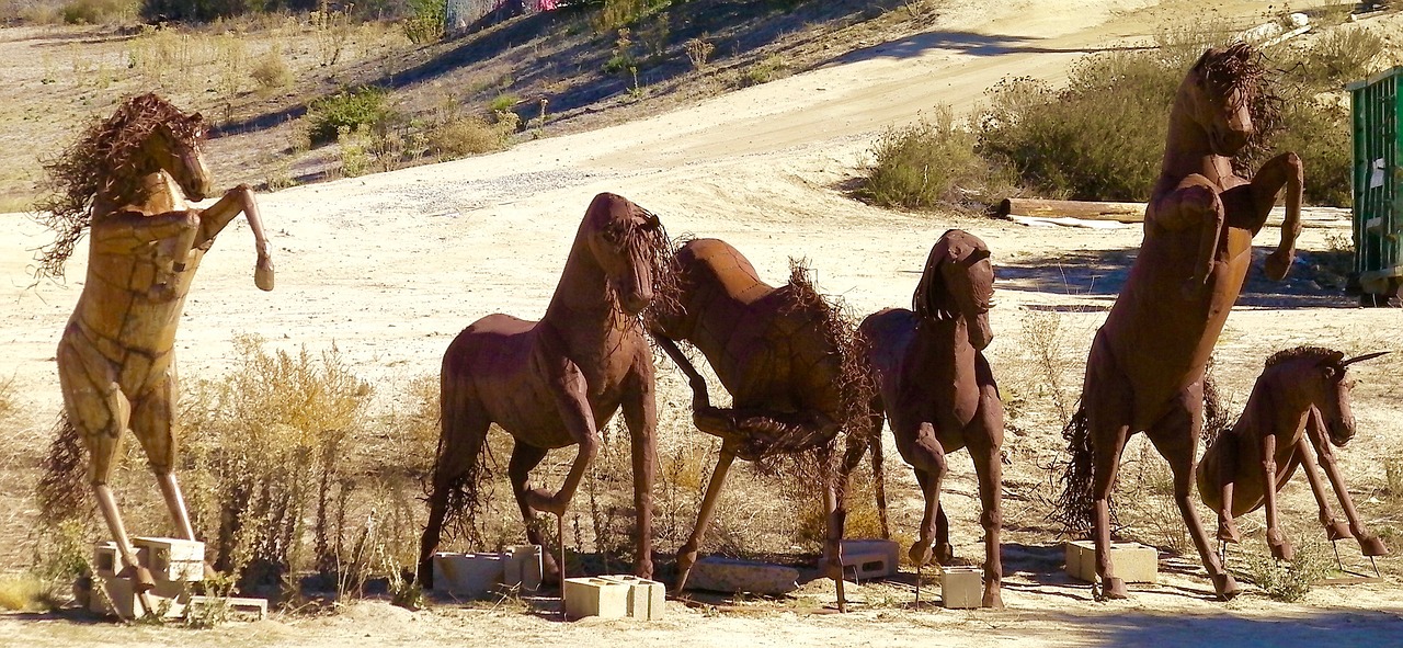 six horses horses wild horses free photo