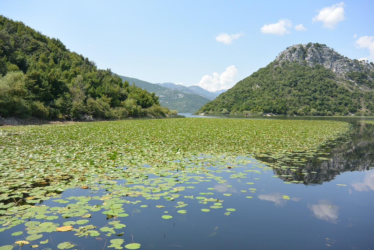 skadar lake montenegro journey free photo