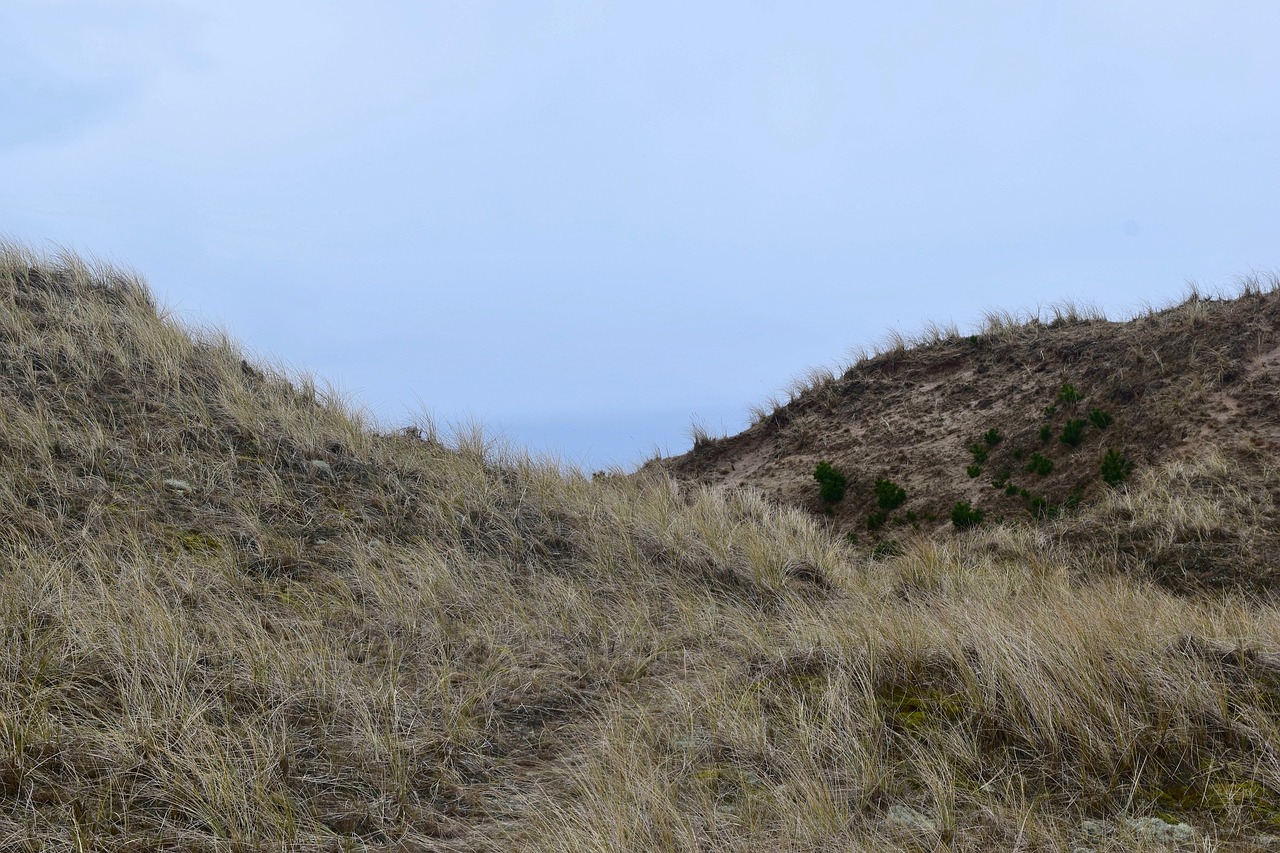 skagen landscape denmark free photo