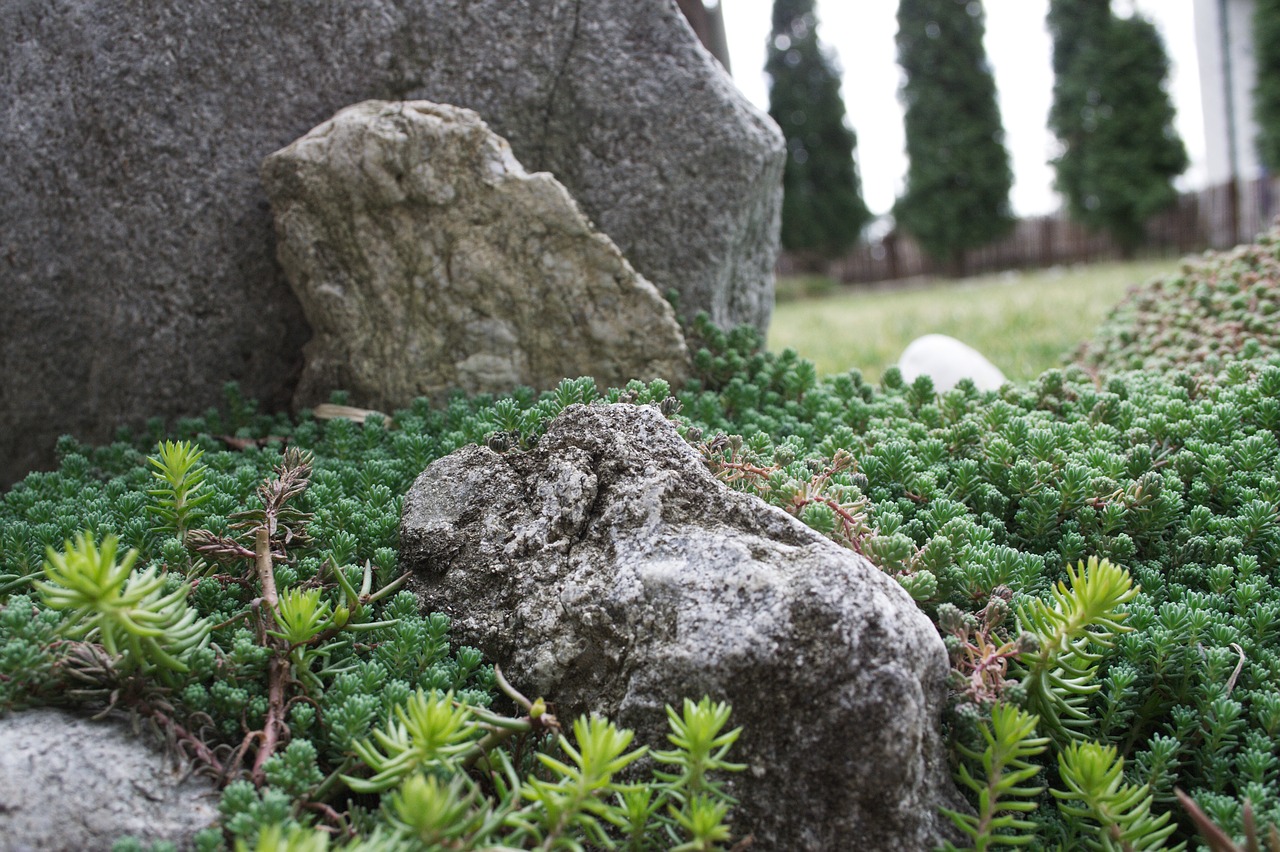 skalka  garden  stones free photo