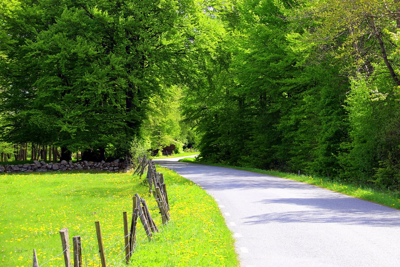 skåne road summer free photo