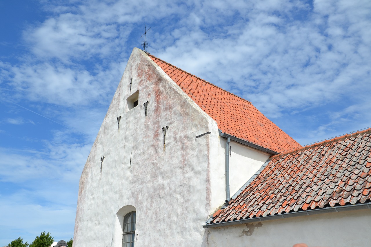 skåne  vein  island free photo