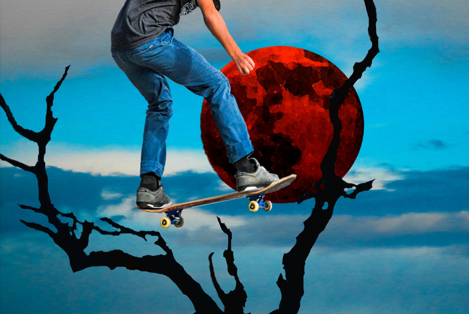 skate board skateboarder free photo