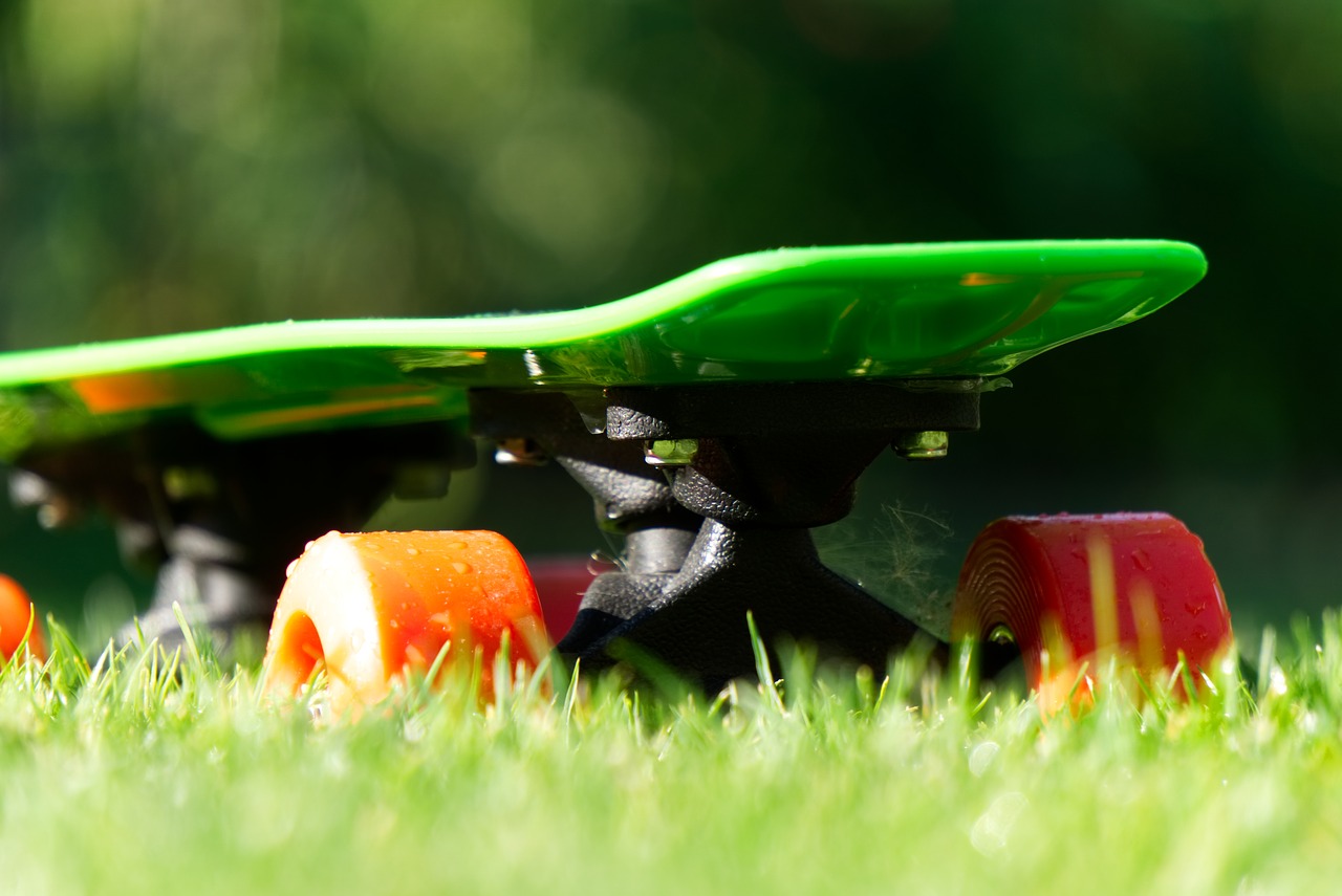 skateboard  wheel  grass free photo