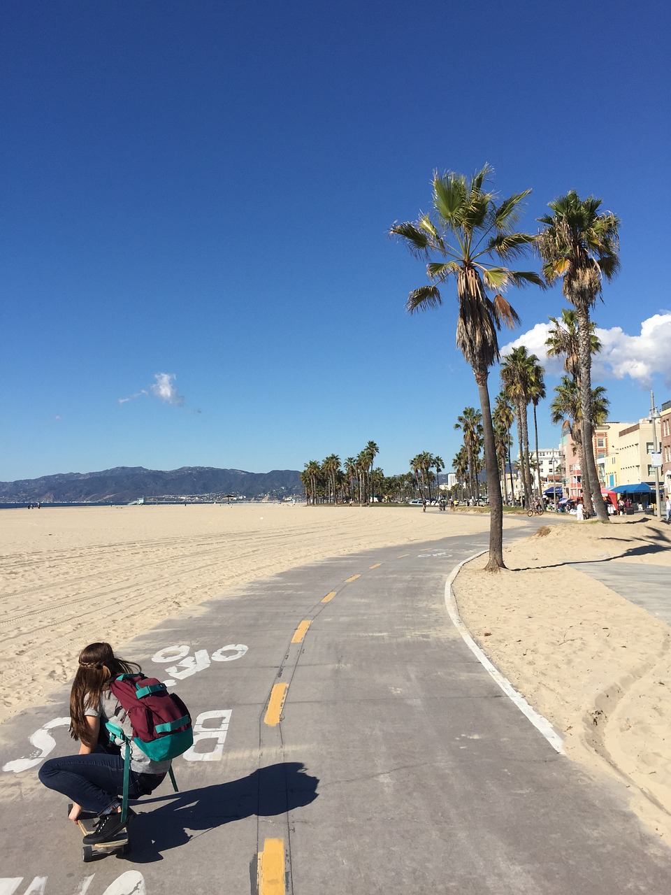 skateboarding venice beach skateboard free photo