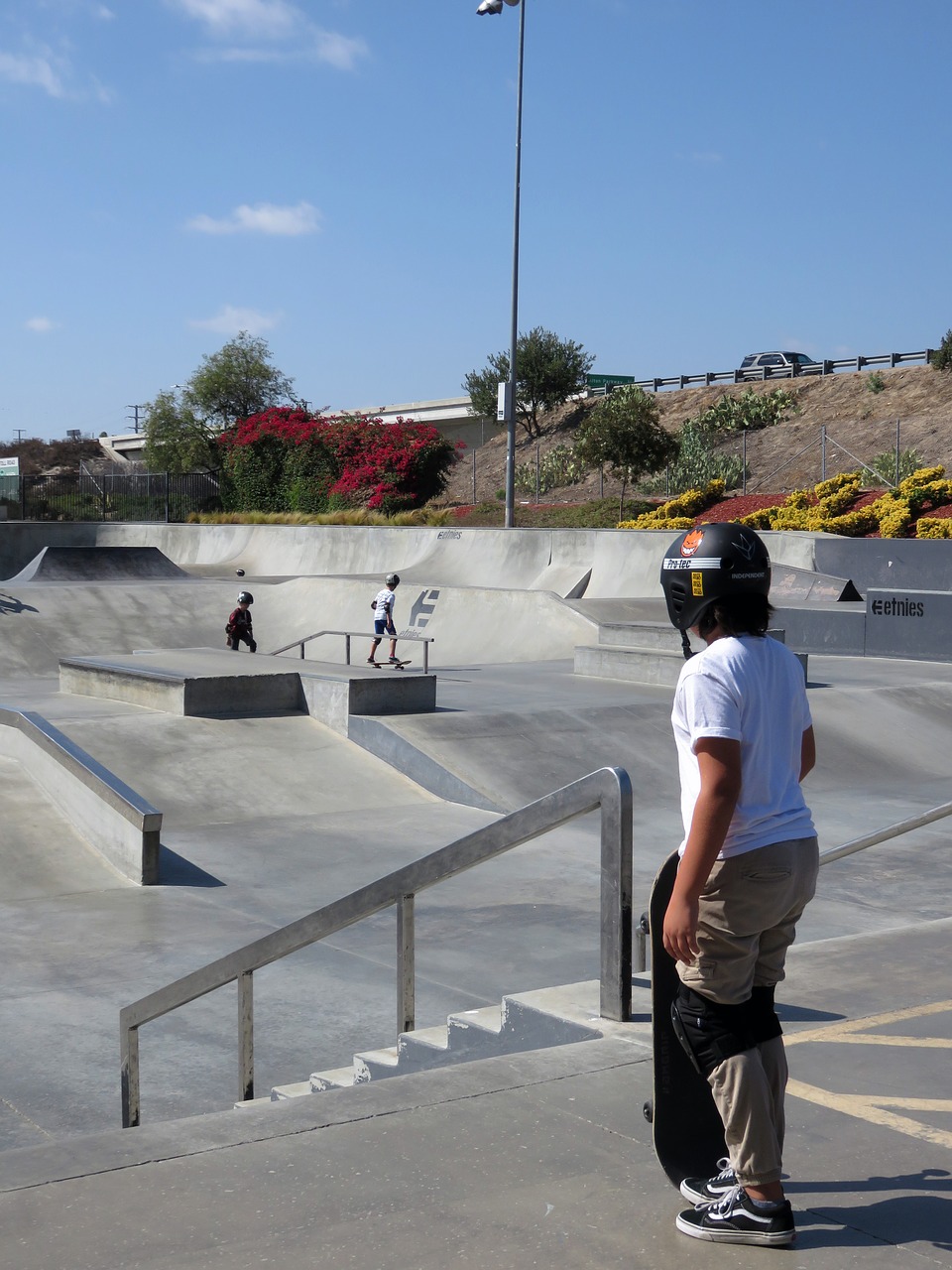 skatepark skater teen free photo