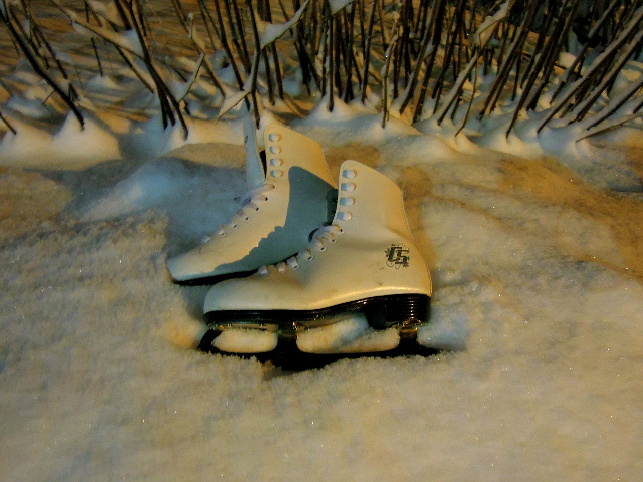 skates snow two free photo