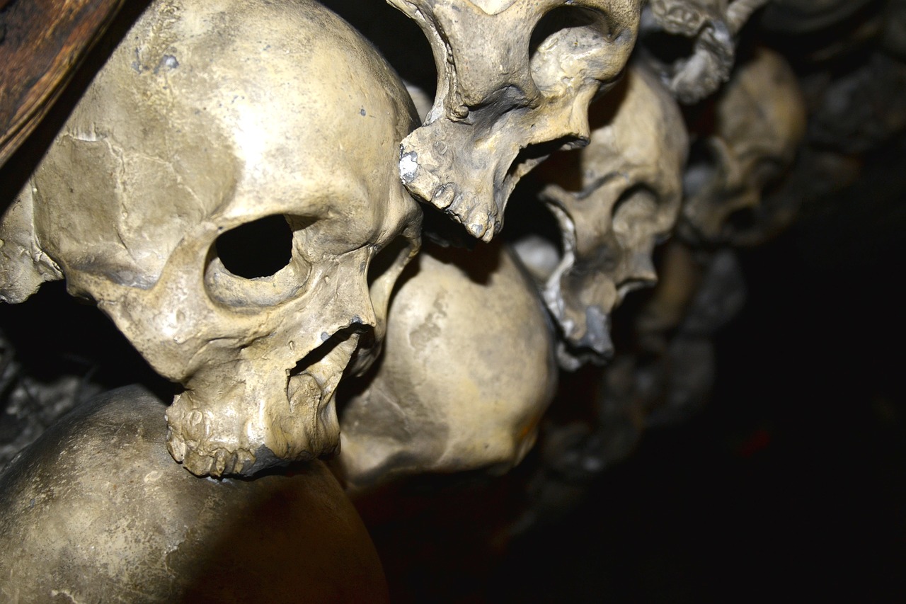 skeletal skull creepy free photo