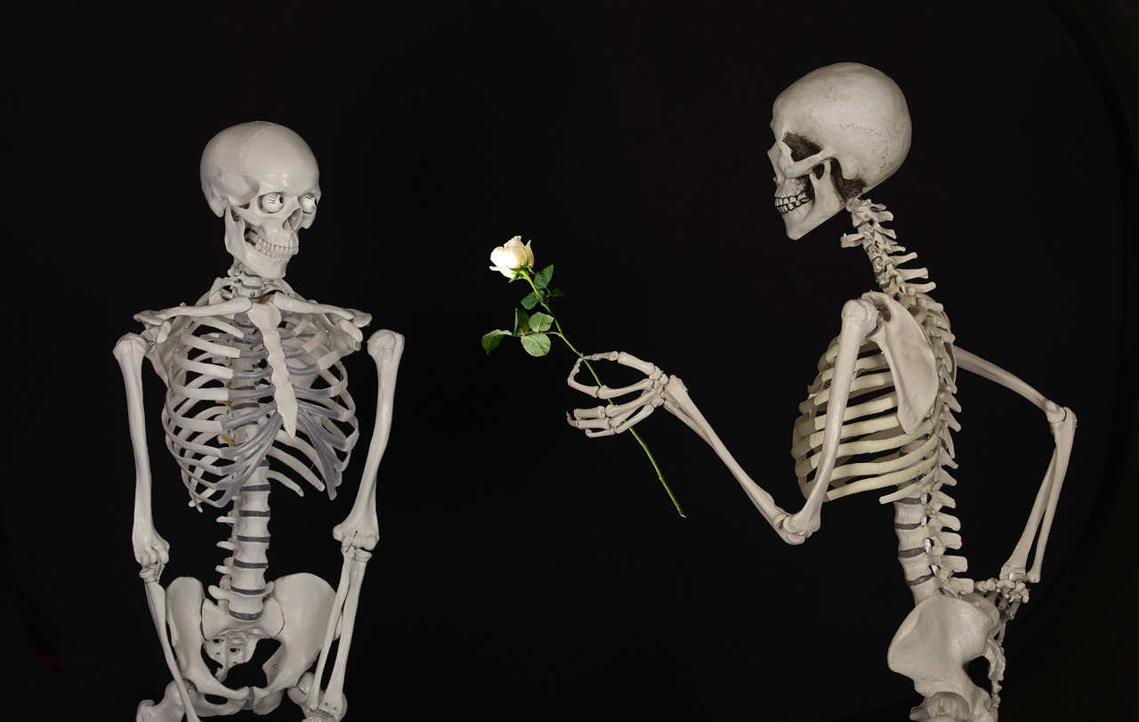 skeletal flower congratulations free photo