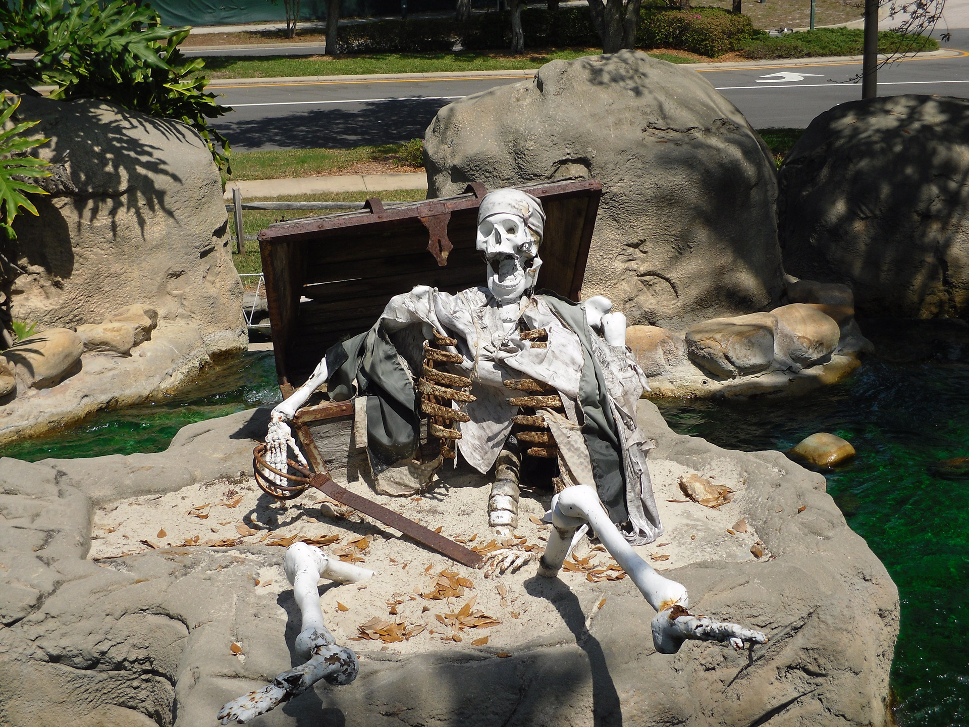 skeleton skull pirate free photo