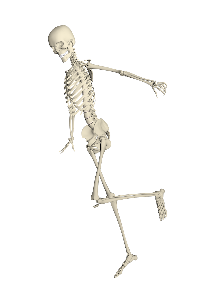 skeleton weis fall free photo