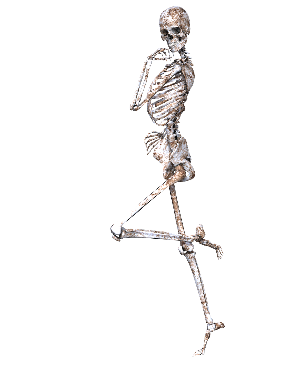 skeleton pose skull free photo