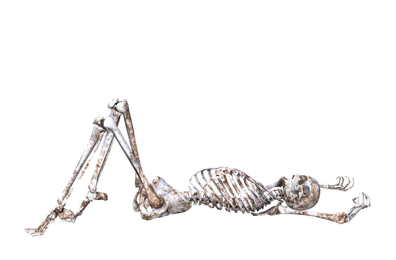 skeleton pose skull free photo