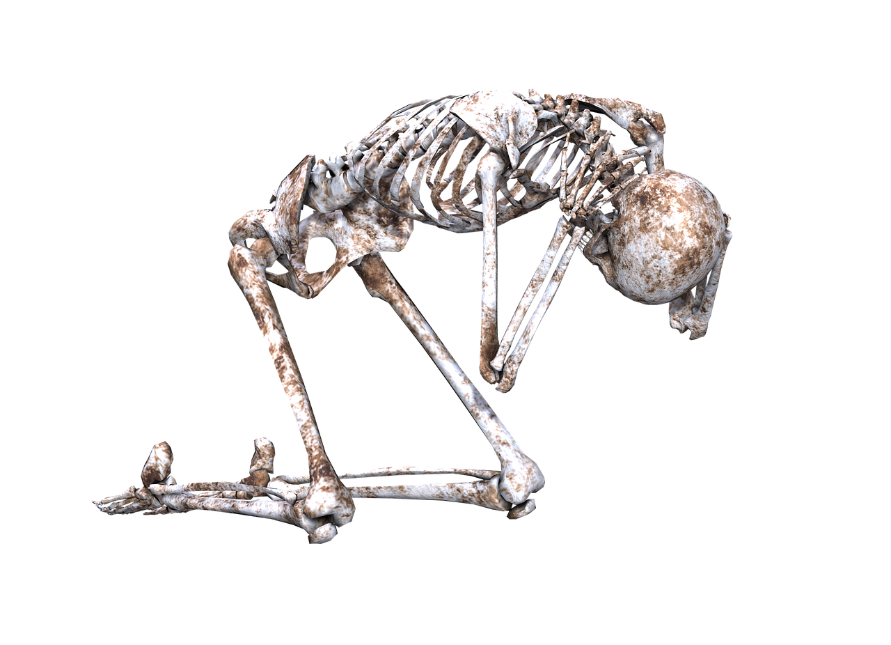 skeleton pose skull free photo