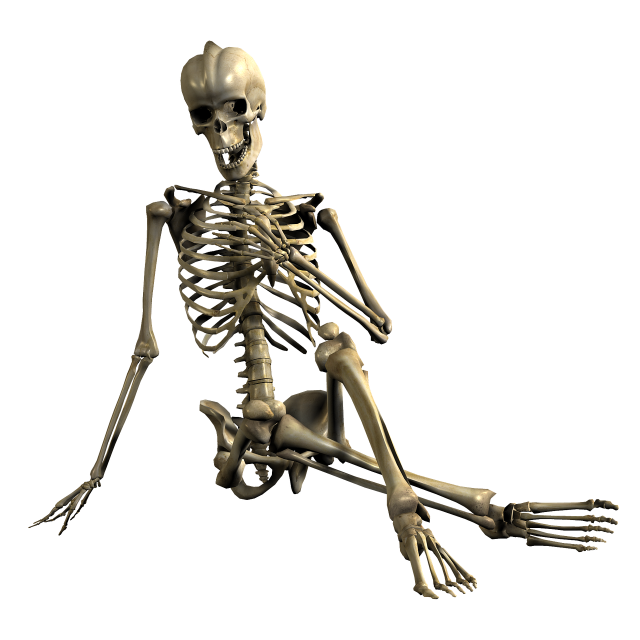 skeleton sitting skull free photo