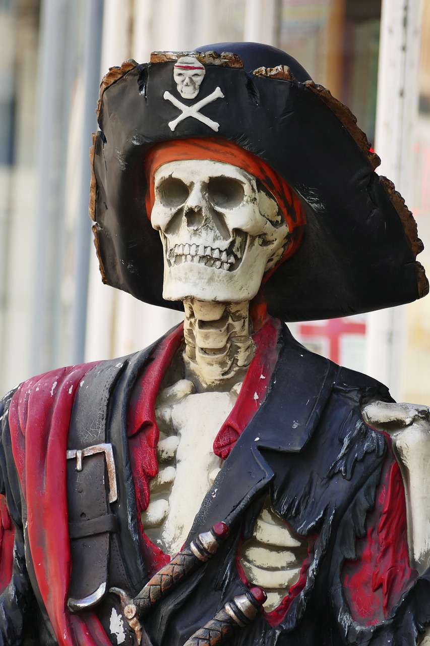skeleton pirate skull free photo