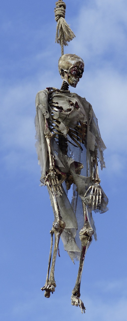 skeleton gallows death free photo