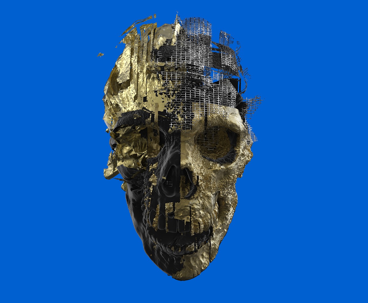 skeleton skull 3d free photo