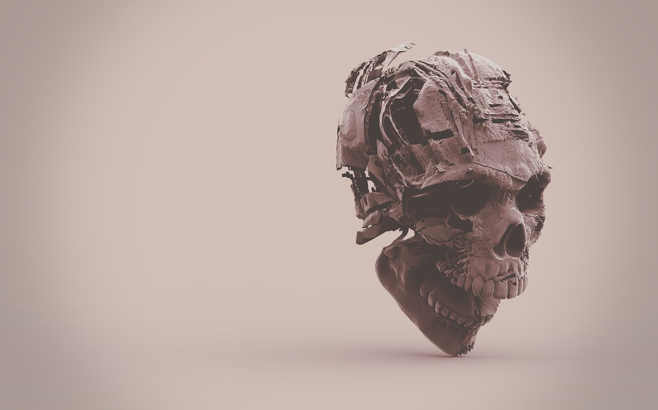 skeleton skull 3d free photo