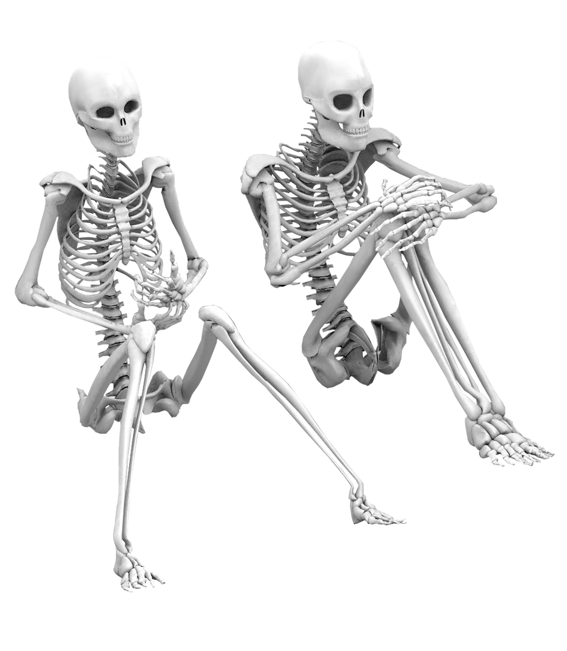 skeleton sitting isolated free photo